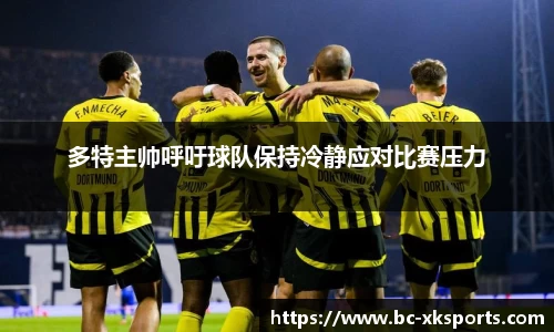 多特主帅呼吁球队保持冷静应对比赛压力